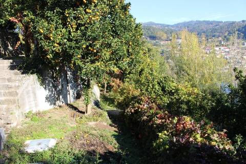 Venda Quinta Cinfães com 7500 m2 excelentes vistas Douro