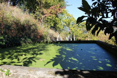 Venda Quinta Cinfães com 7500 m2 excelentes vistas Douro