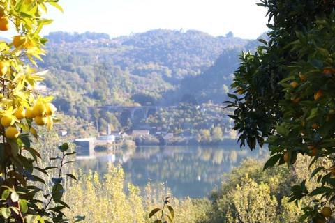 Venda Quinta Cinfães com 7500 m2 excelentes vistas Douro
