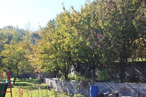 Venda Quinta Cinfães com 7500 m2 excelentes vistas Douro