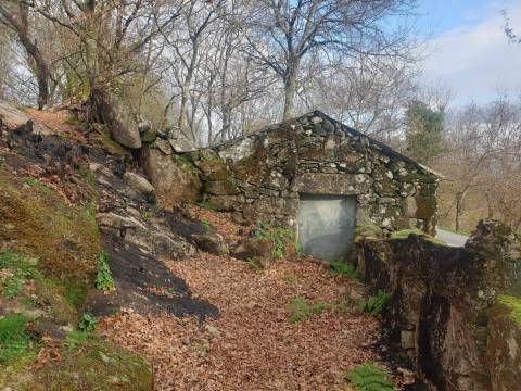 Propriedade na Aldeia de Asnela – Oportunidade Única para Turismo ou Agricultura.
