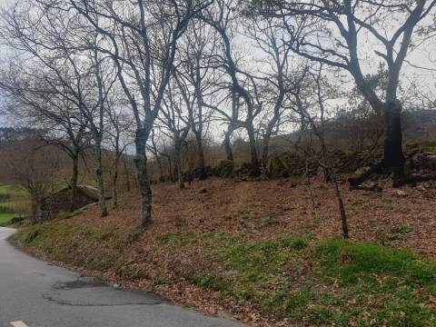 Propriedade na Aldeia de Asnela – Oportunidade Única para Turismo ou Agricultura.