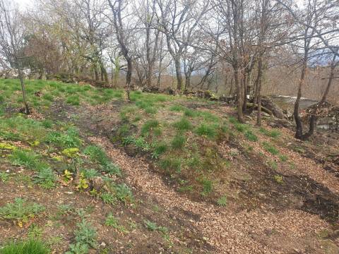 Propriedade na Aldeia de Asnela – Oportunidade Única para Turismo ou Agricultura.