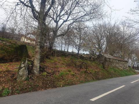 Propriedade na Aldeia de Asnela – Oportunidade Única para Turismo ou Agricultura.