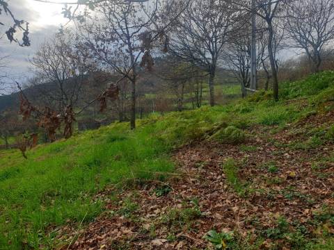 Propriedade na Aldeia de Asnela – Oportunidade Única para Turismo ou Agricultura.