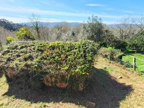 Quintinha com moradia para restauro