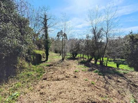 Quintinha com moradia para restauro