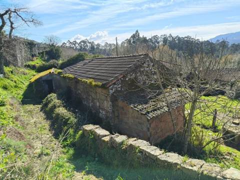 Quintinha com moradia para restauro