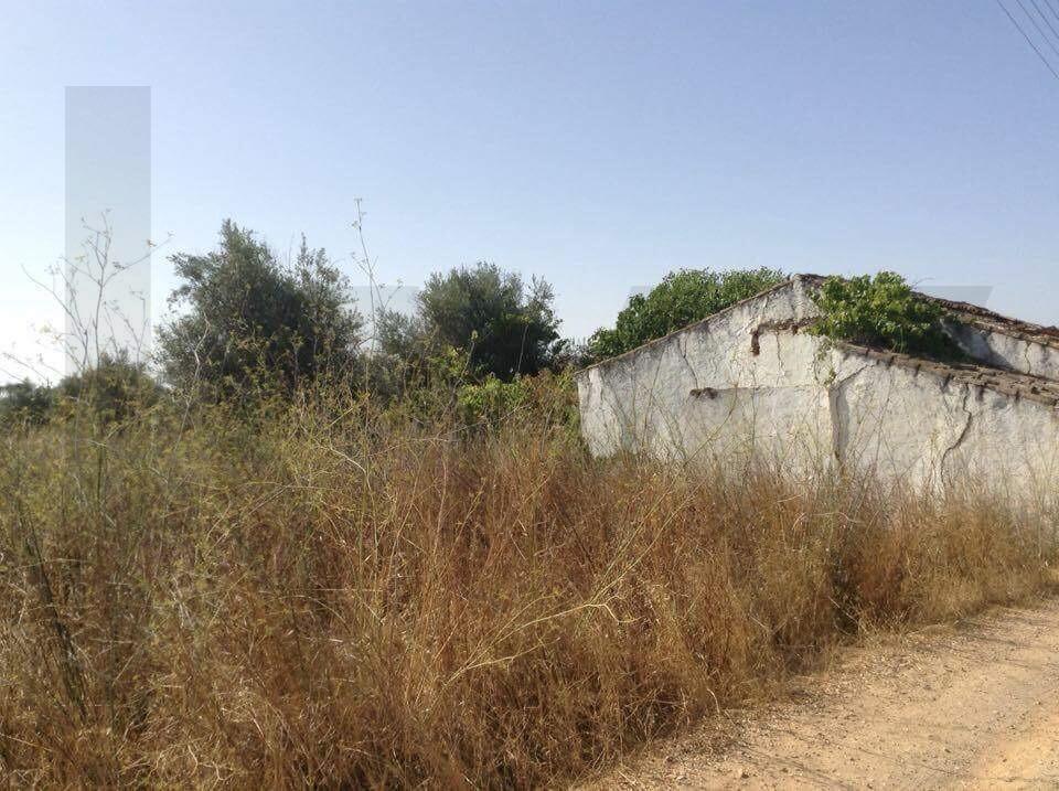 Terreno urbano fantástico, para construir moradia no Alentejo e viver com a máxima tranquilidade!