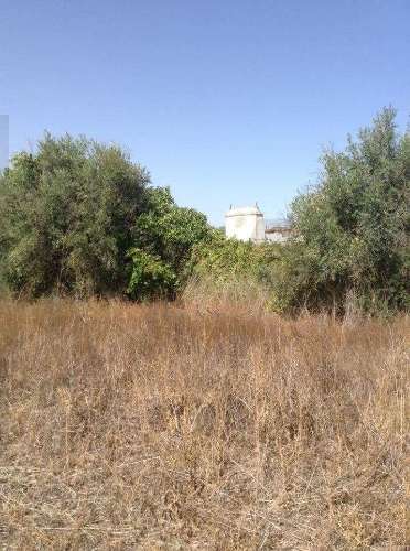 Terreno urbano fantástico, para construir moradia no Alentejo e viver com a máxima tranquilidade!