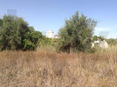 Terreno urbano fantástico, para construir moradia no Alentejo e viver com a máxima tranquilidade!