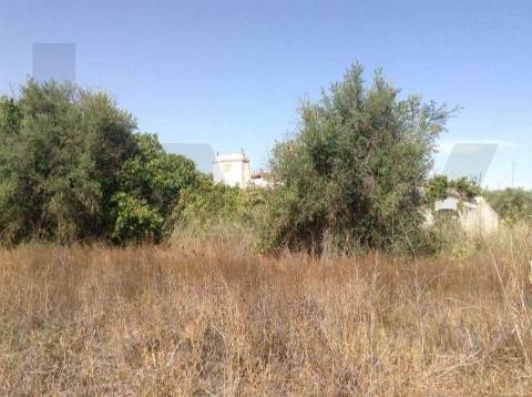 Terreno urbano fantástico, para construir moradia no Alentejo e viver com a máxima tranquilidade!
