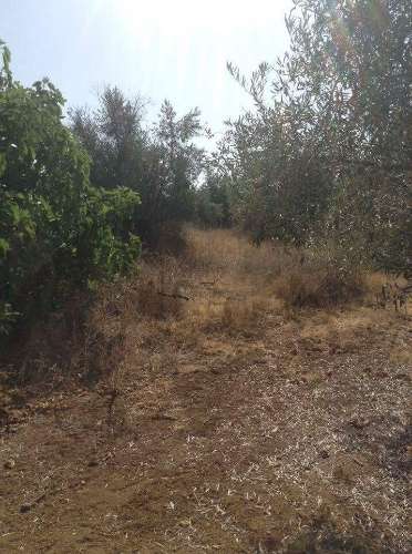 Terreno urbano fantástico, para construir moradia no Alentejo e viver com a máxima tranquilidade!