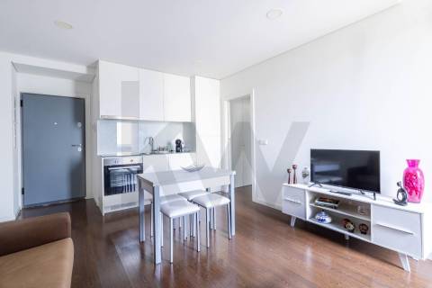 Apartamento T1 para Arrendamento - Campo Lindo - Paranhos