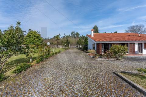 Moradia T4 com piscina e jardim em Fragoso