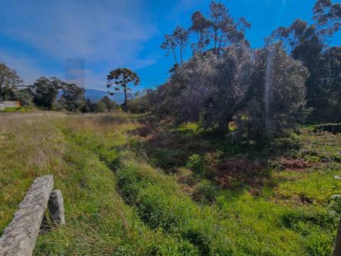 Terreno Urbanizável, murado e com 5.400M2