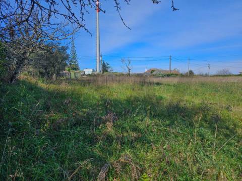 Terreno Urbanizável, murado e com 5.400M2