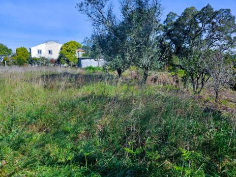 Terreno Urbanizável, murado e com 5.400M2
