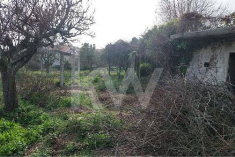 Terreno em Francelos perto do Mar para construção de moradia(s)