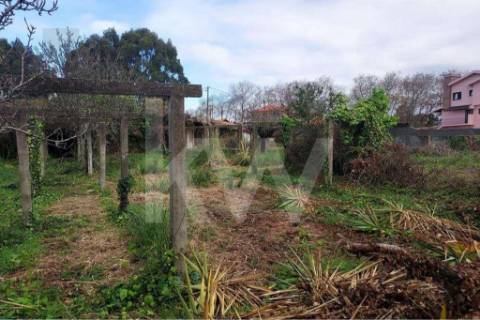 Terreno em Francelos perto do Mar para construção de moradia(s)