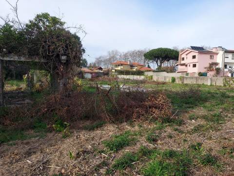 Terreno em Francelos perto do Mar para construção de moradia(s)