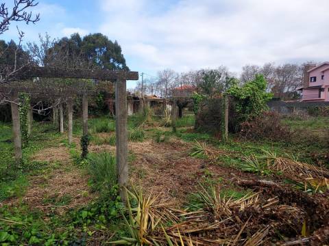 Terreno em Francelos perto do Mar para construção de moradia(s)