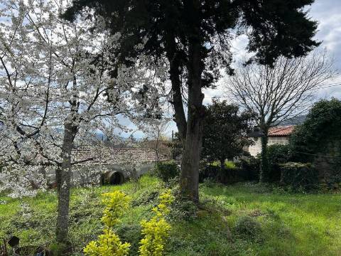 Oportunidade Única de Reabilitação de um Ex-Libris do Século XVIII 