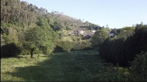 Quintinha em Oliveira de Azeméis banhada pelo rio!