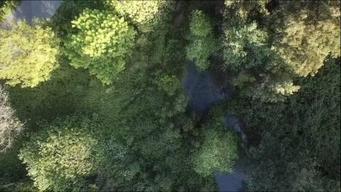 Quintinha em Oliveira de Azeméis banhada pelo rio!