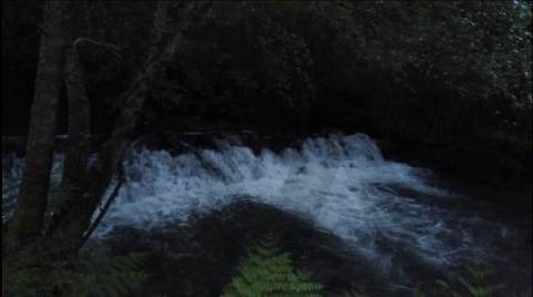 Quintinha em Oliveira de Azeméis banhada pelo rio!