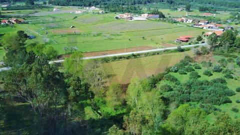  Terreno com 9.500m² – Enxames, Fundão | Mata, Zona de Cultivo e Ribeira🌿 