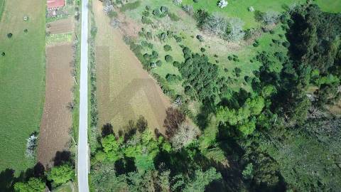  Terreno com 9.500m² – Enxames, Fundão | Mata, Zona de Cultivo e Ribeira🌿 