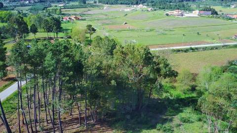  Terreno com 9.500m² – Enxames, Fundão | Mata, Zona de Cultivo e Ribeira🌿 