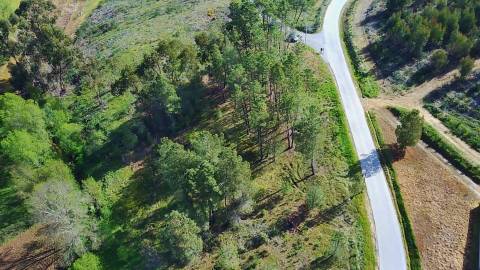 Terreno com 9.500m² – Enxames, Fundão | Mata, Zona de Cultivo e Ribeira🌿 