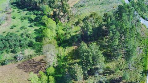  Terreno com 9.500m² – Enxames, Fundão | Mata, Zona de Cultivo e Ribeira🌿 