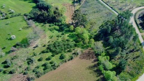  Terreno com 9.500m² – Enxames, Fundão | Mata, Zona de Cultivo e Ribeira🌿 