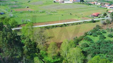  Terreno com 9.500m² – Enxames, Fundão | Mata, Zona de Cultivo e Ribeira🌿 