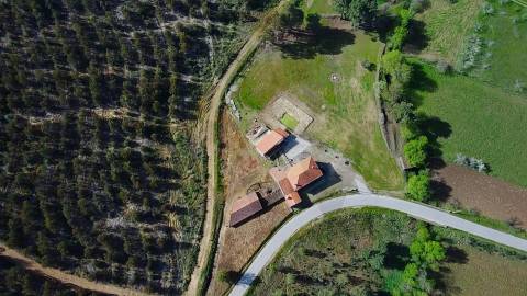  Dois Terrenos em Enxames – Fundão | 11.000m² com Ruína, Palheiro e Ribeira🏡