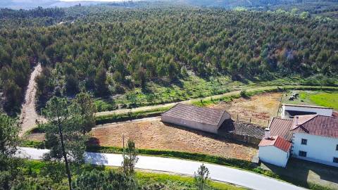  Dois Terrenos em Enxames – Fundão | 11.000m² com Ruína, Palheiro e Ribeira🏡