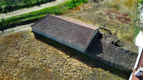  Dois Terrenos em Enxames – Fundão | 11.000m² com Ruína, Palheiro e Ribeira🏡