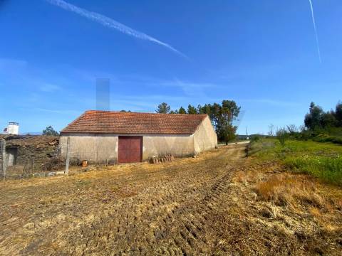  Dois Terrenos em Enxames – Fundão | 11.000m² com Ruína, Palheiro e Ribeira🏡