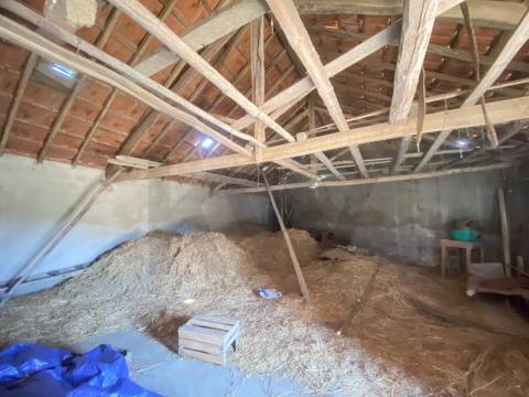  Dois Terrenos em Enxames – Fundão | 11.000m² com Ruína, Palheiro e Ribeira🏡