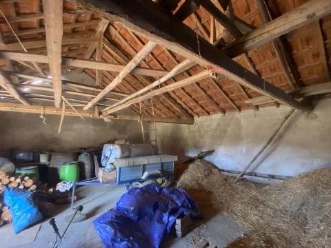  Dois Terrenos em Enxames – Fundão | 11.000m² com Ruína, Palheiro e Ribeira🏡