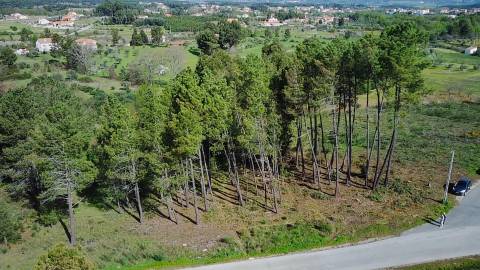  Dois Terrenos em Enxames – Fundão | 11.000m² com Ruína, Palheiro e Ribeira🏡