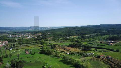  Dois Terrenos em Enxames – Fundão | 11.000m² com Ruína, Palheiro e Ribeira🏡
