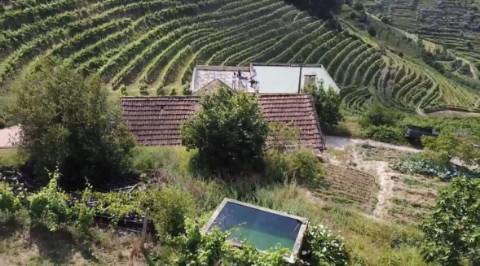 Quinta em Sever. Santa Marta de Penaguiao. Um Refúgio de Charme no Coração do Douro