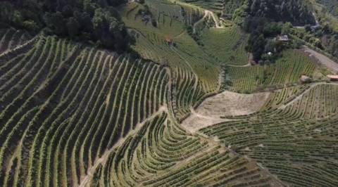 Quinta em Sever. Santa Marta de Penaguiao. Um Refúgio de Charme no Coração do Douro
