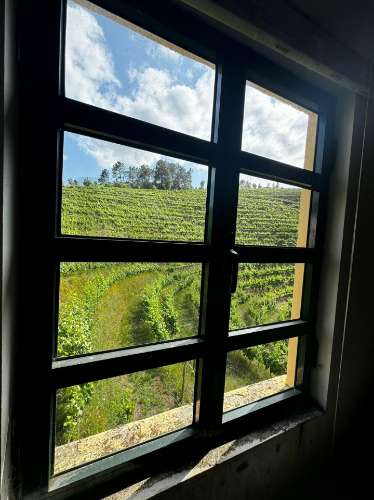 Quinta em Sever. Santa Marta de Penaguiao. Um Refúgio de Charme no Coração do Douro
