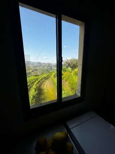 Quinta em Sever. Santa Marta de Penaguiao. Um Refúgio de Charme no Coração do Douro