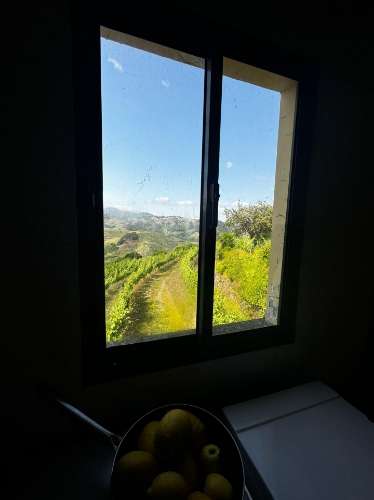 Quinta em Sever. Santa Marta de Penaguiao. Um Refúgio de Charme no Coração do Douro